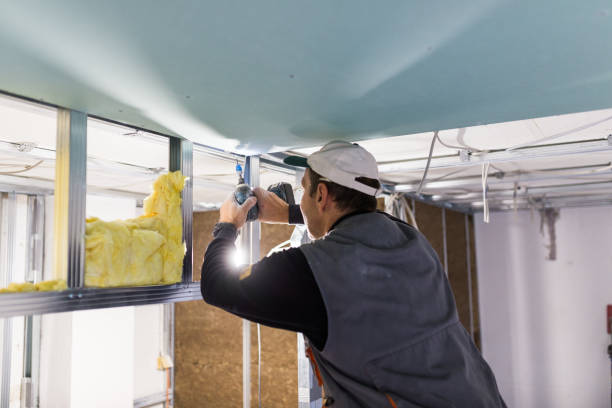 Best Residential Insulation in Mckinney, TX