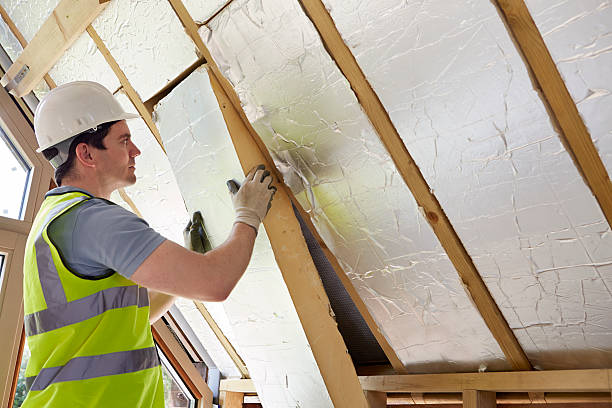 Best Residential Insulation in Mckinney, TX